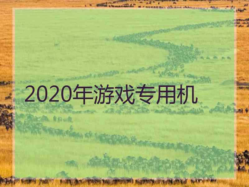2020年游戏专用机