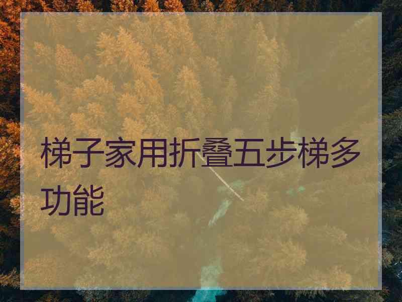 梯子家用折叠五步梯多功能