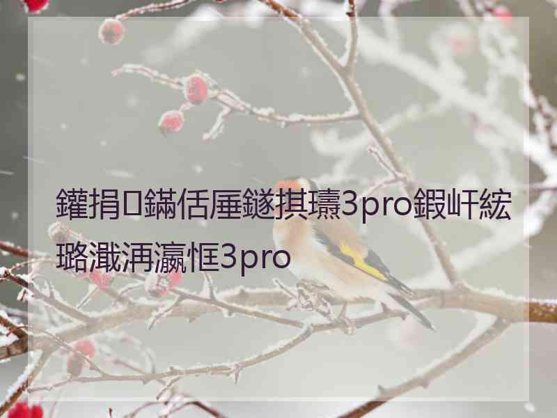 鑵捐鏋佸厜鐩掑瓙3pro鍜屽綋璐濈洅瀛恇3pro