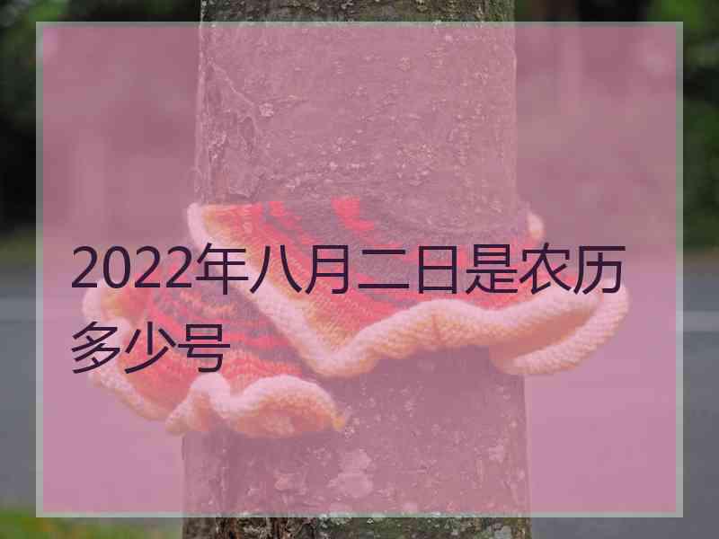 2022年八月二日是农历多少号