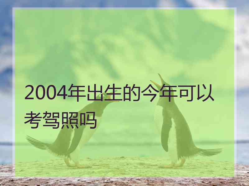 2004年出生的今年可以考驾照吗