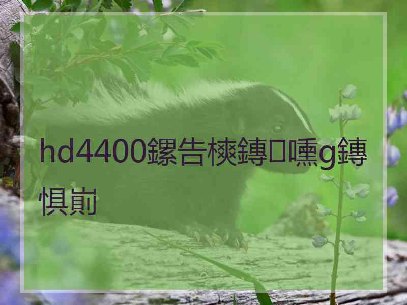 hd4400鏍告樉鏄嚑g鏄惧崱