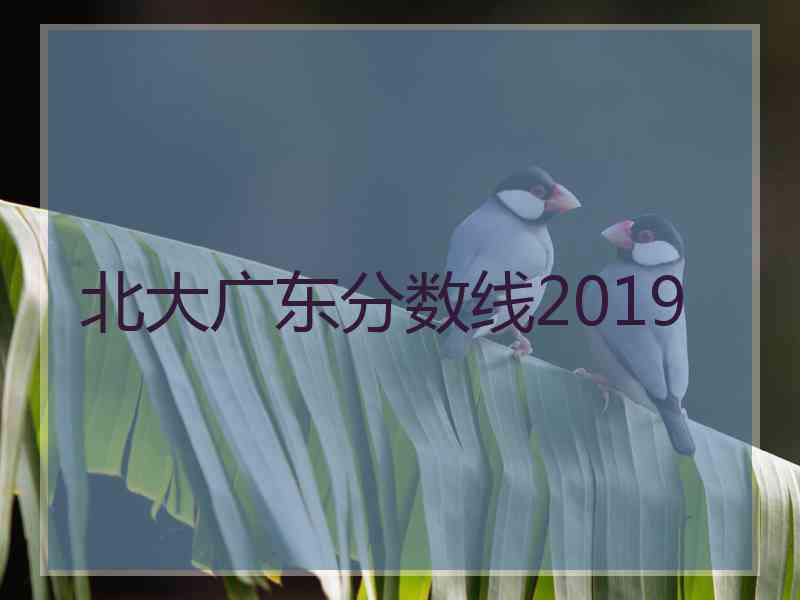 北大广东分数线2019