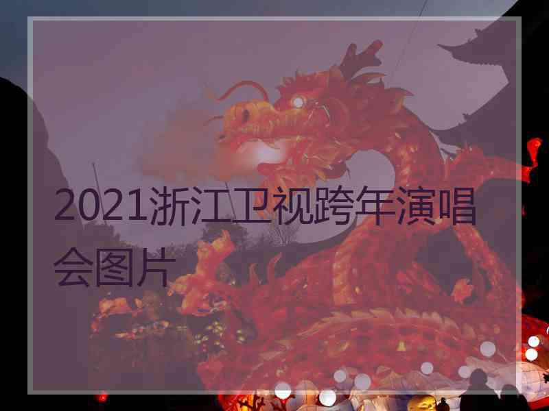 2021浙江卫视跨年演唱会图片