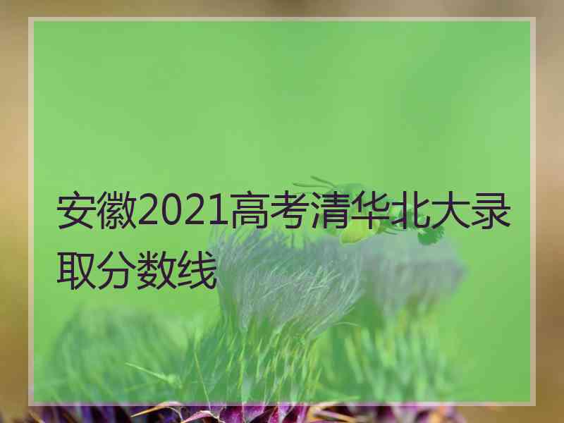 安徽2021高考清华北大录取分数线