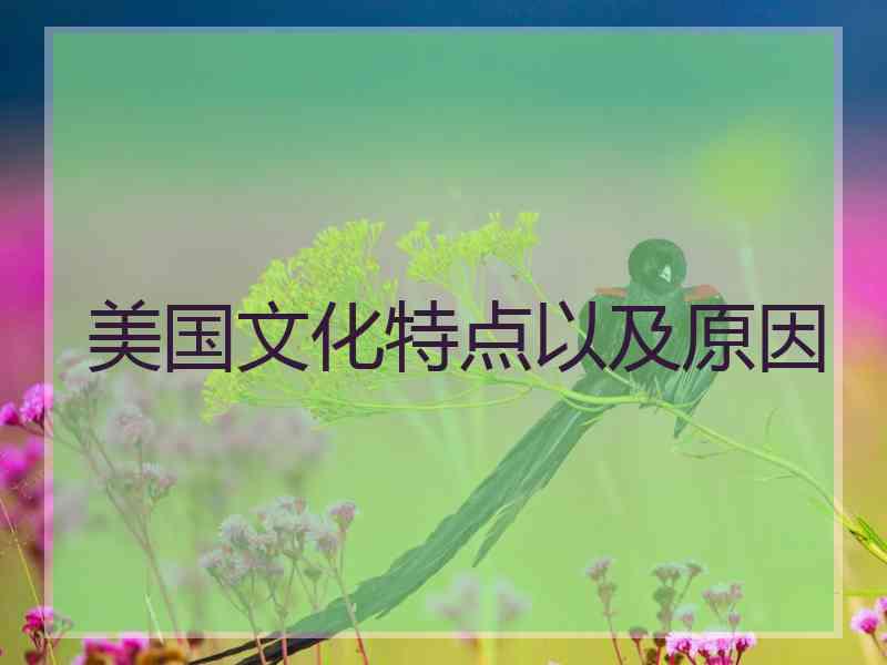 美国文化特点以及原因