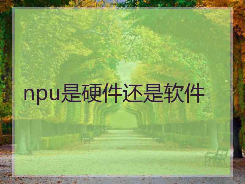 npu是硬件还是软件