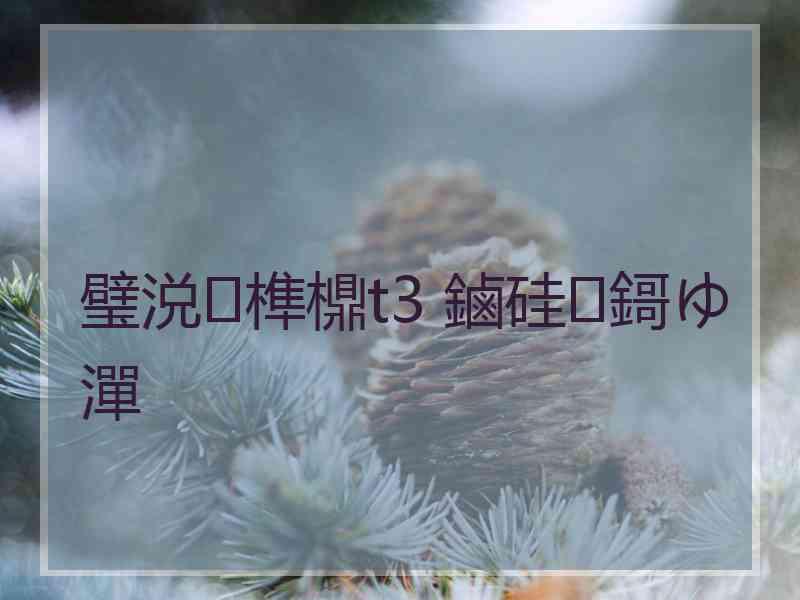 璧涚榫檙t3 鏀硅鎶ゆ潬