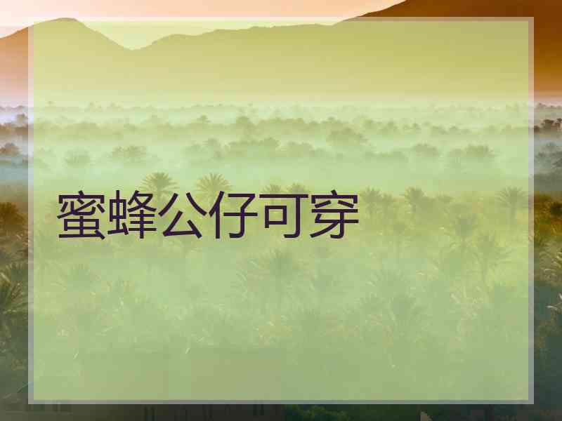 蜜蜂公仔可穿