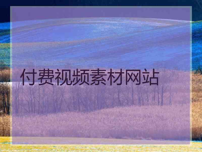 付费视频素材网站
