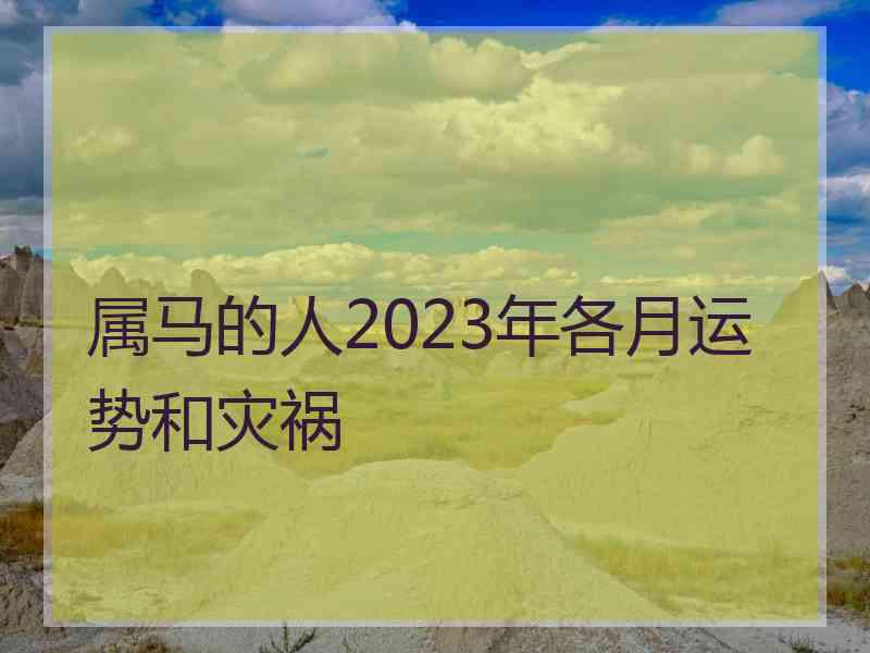属马的人2023年各月运势和灾祸