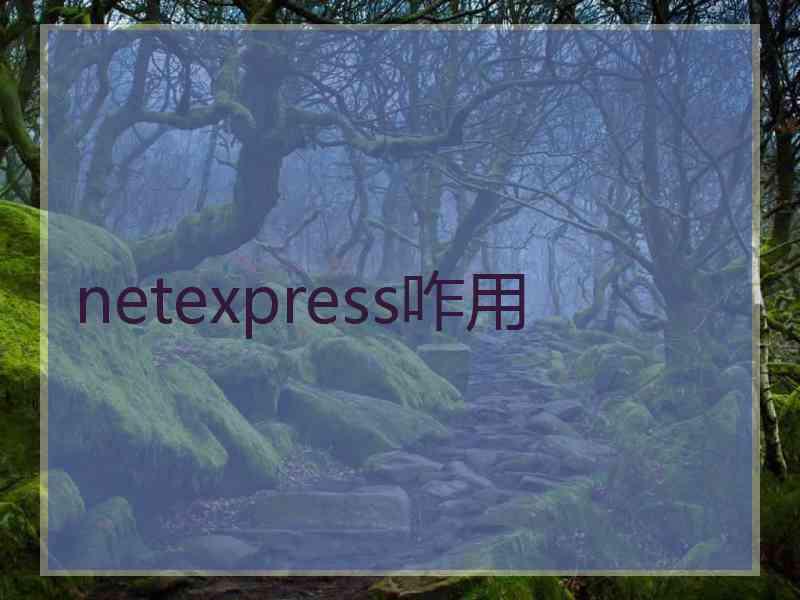 netexpress咋用