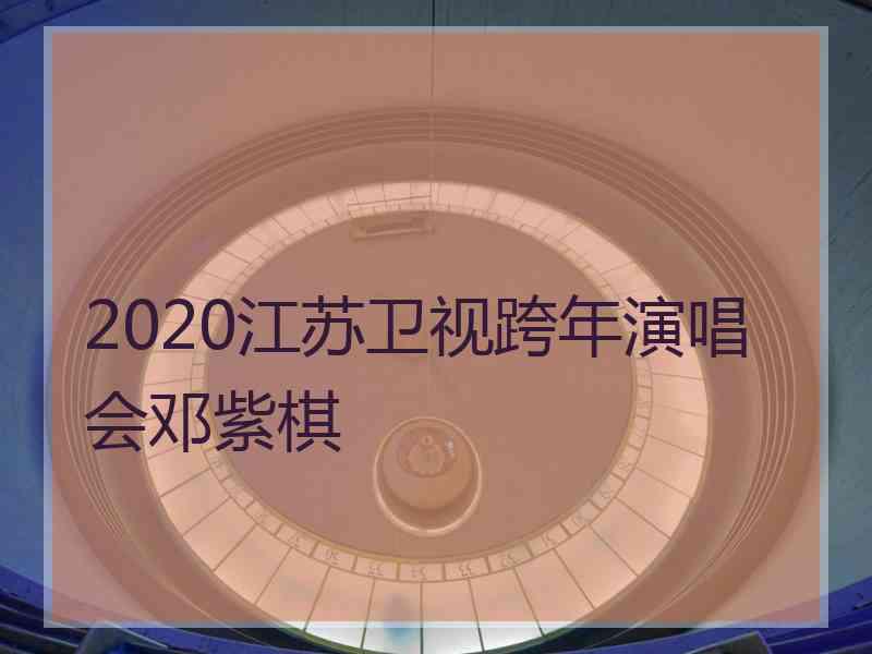 2020江苏卫视跨年演唱会邓紫棋