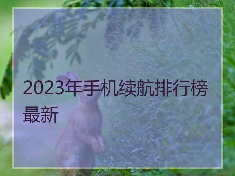 2023年手机续航排行榜最新