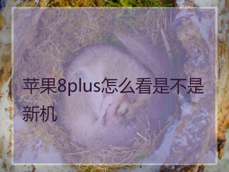 苹果8plus怎么看是不是新机