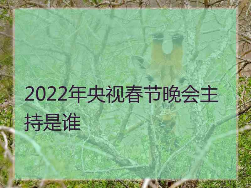 2022年央视春节晚会主持是谁