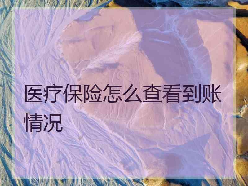 医疗保险怎么查看到账情况