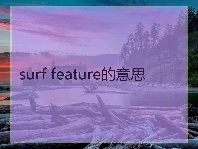 surf feature的意思