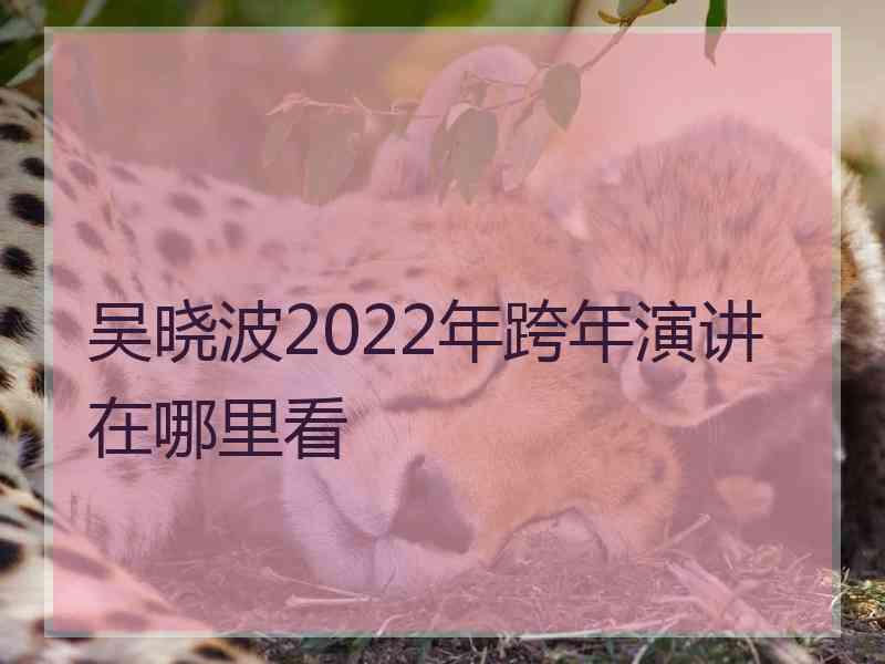 吴晓波2022年跨年演讲在哪里看