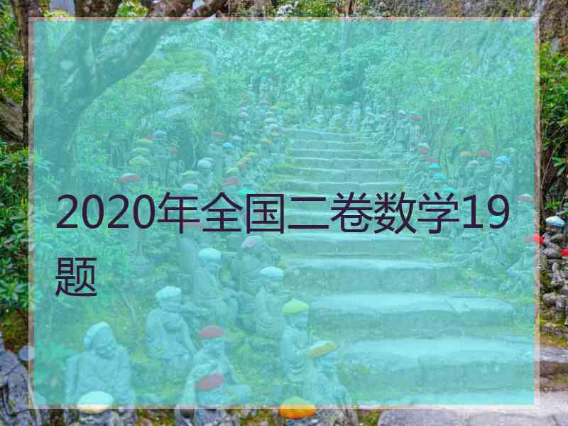 2020年全国二卷数学19题