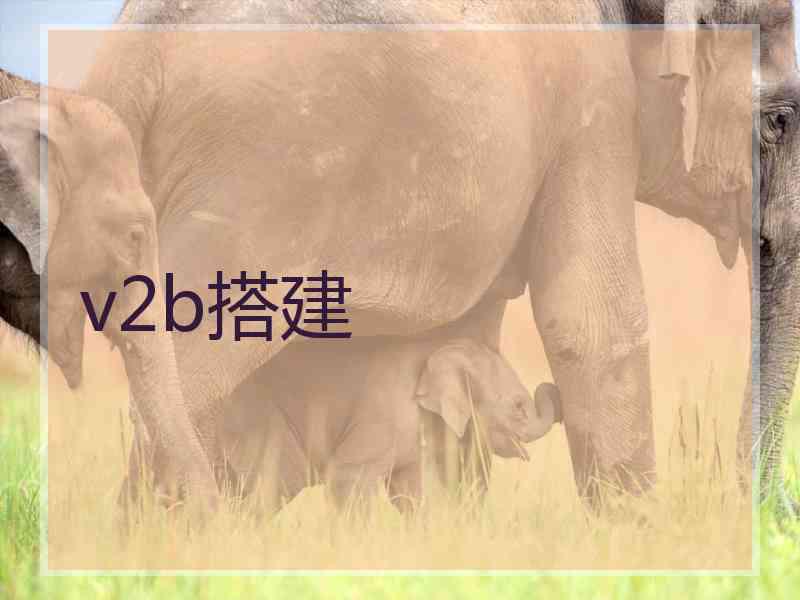 v2b搭建