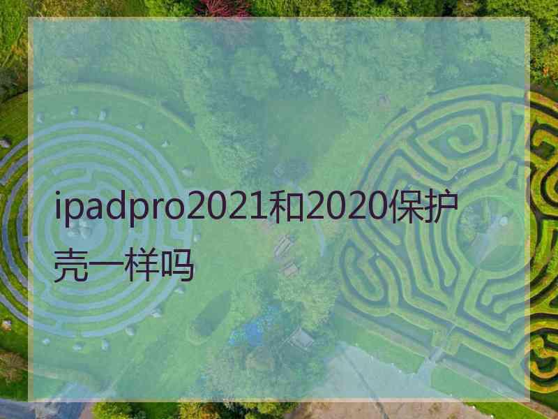 ipadpro2021和2020保护壳一样吗