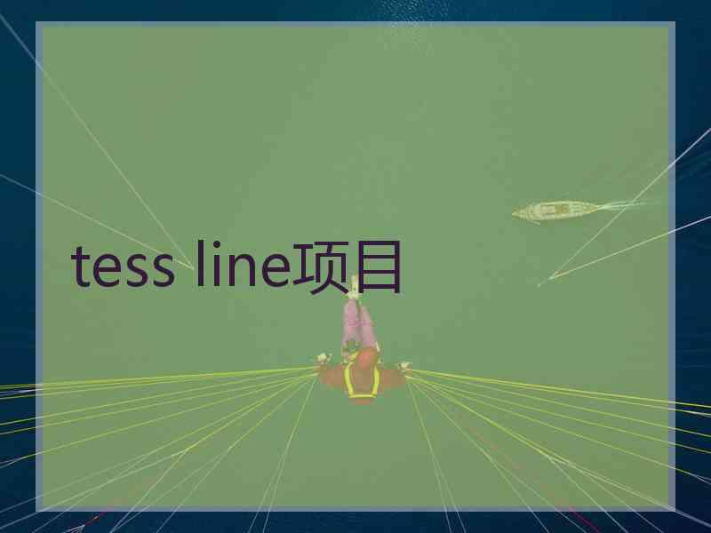 tess line项目