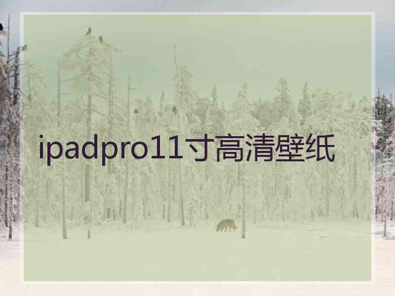 ipadpro11寸高清壁纸