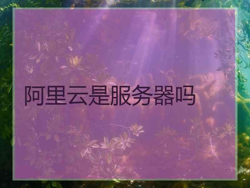 阿里云是服务器吗