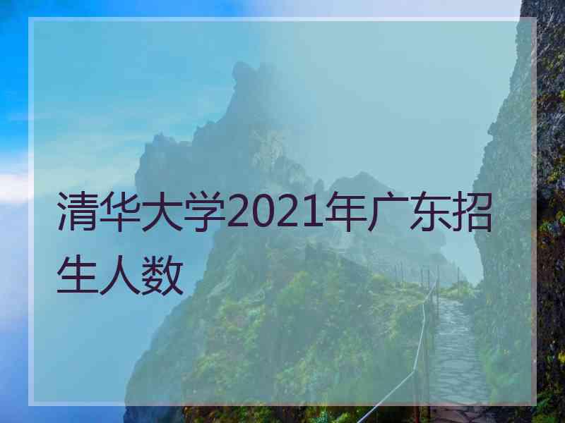 清华大学2021年广东招生人数