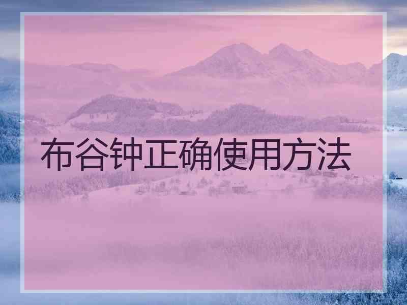 布谷钟正确使用方法