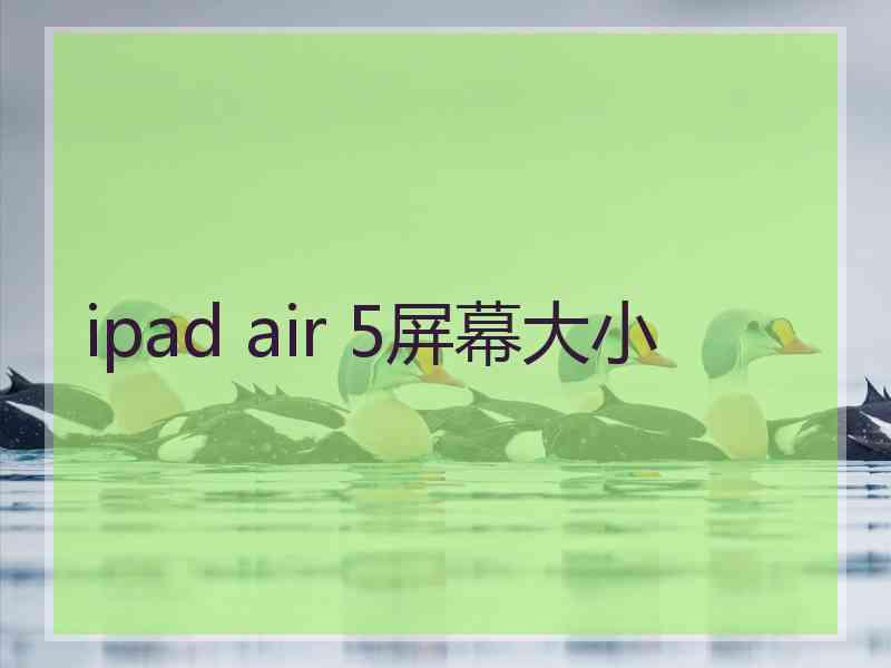 ipad air 5屏幕大小