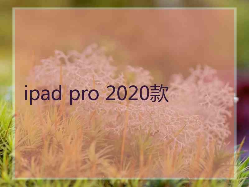 ipad pro 2020款