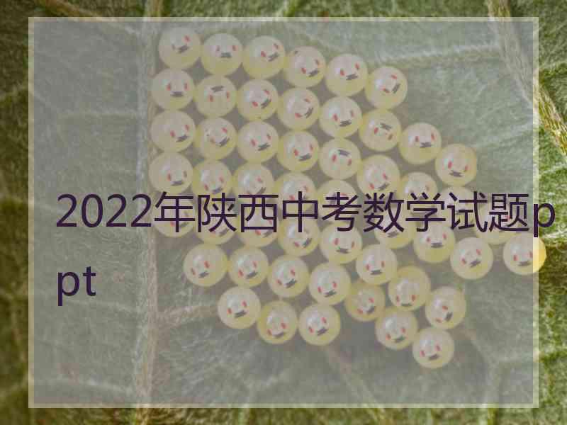 2022年陕西中考数学试题ppt