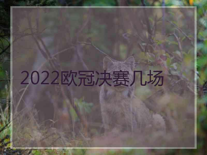 2022欧冠决赛几场
