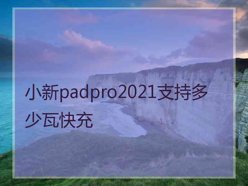 小新padpro2021支持多少瓦快充