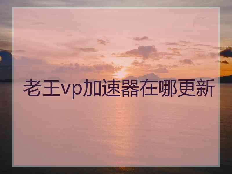 老王vp加速器在哪更新