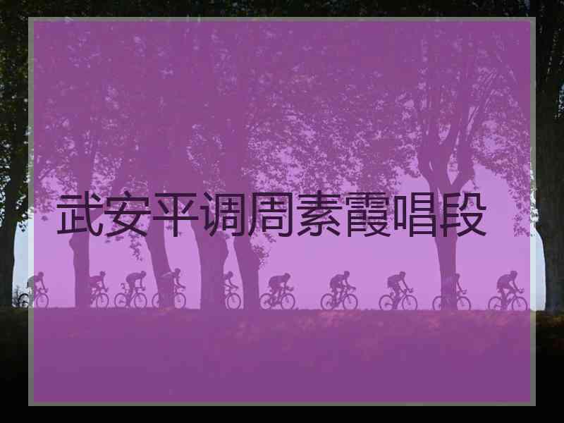 武安平调周素霞唱段