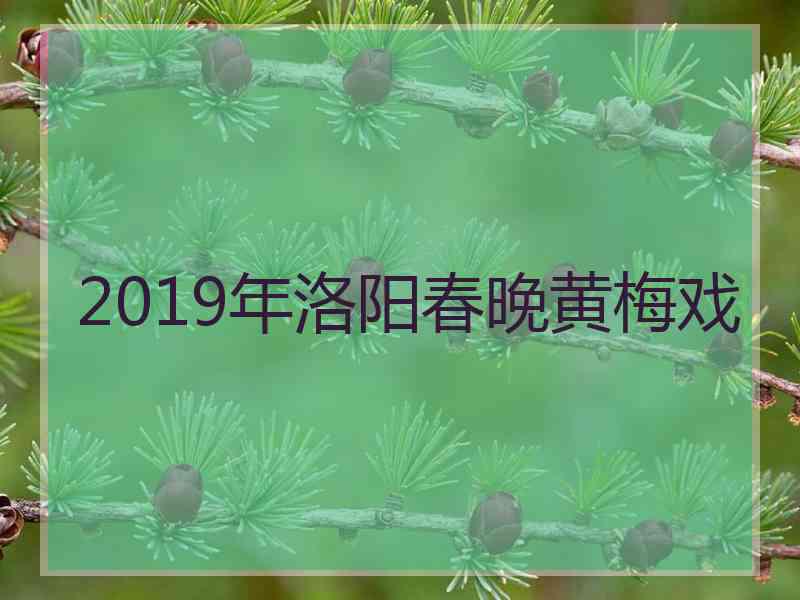 2019年洛阳春晚黄梅戏