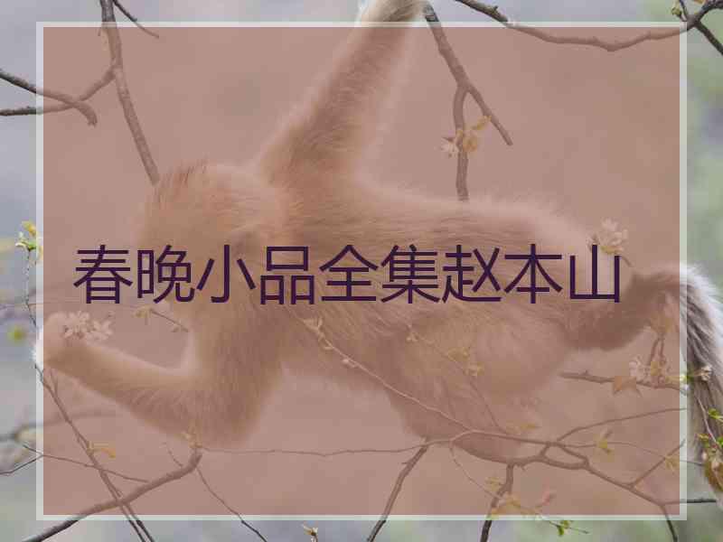 春晚小品全集赵本山