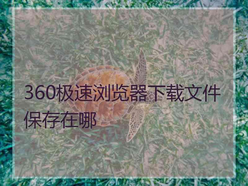 360极速浏览器下载文件保存在哪