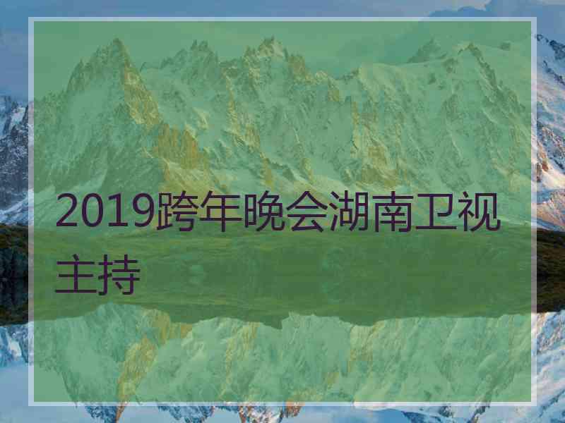 2019跨年晚会湖南卫视主持