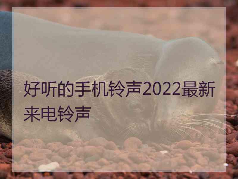 好听的手机铃声2022最新来电铃声