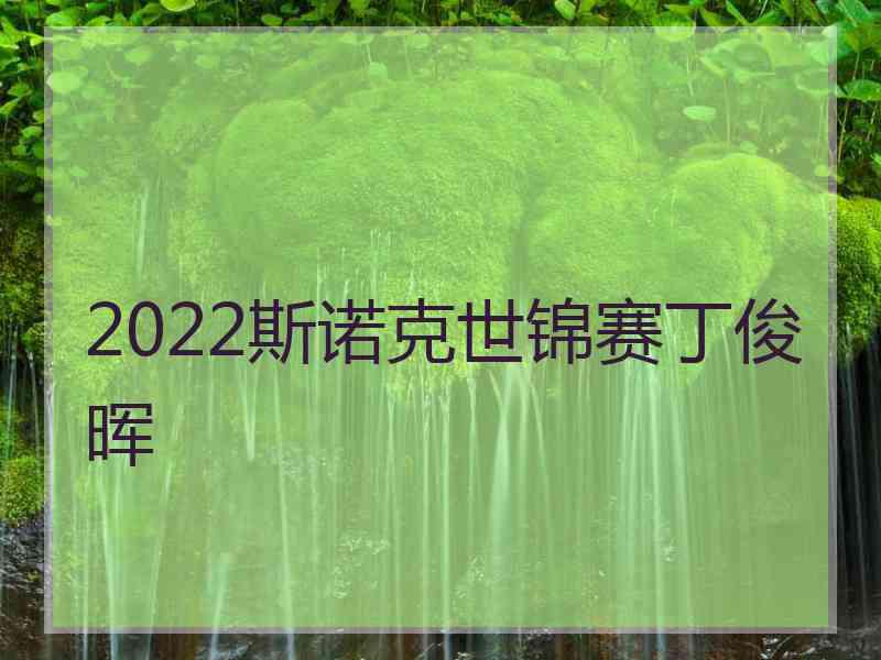 2022斯诺克世锦赛丁俊晖