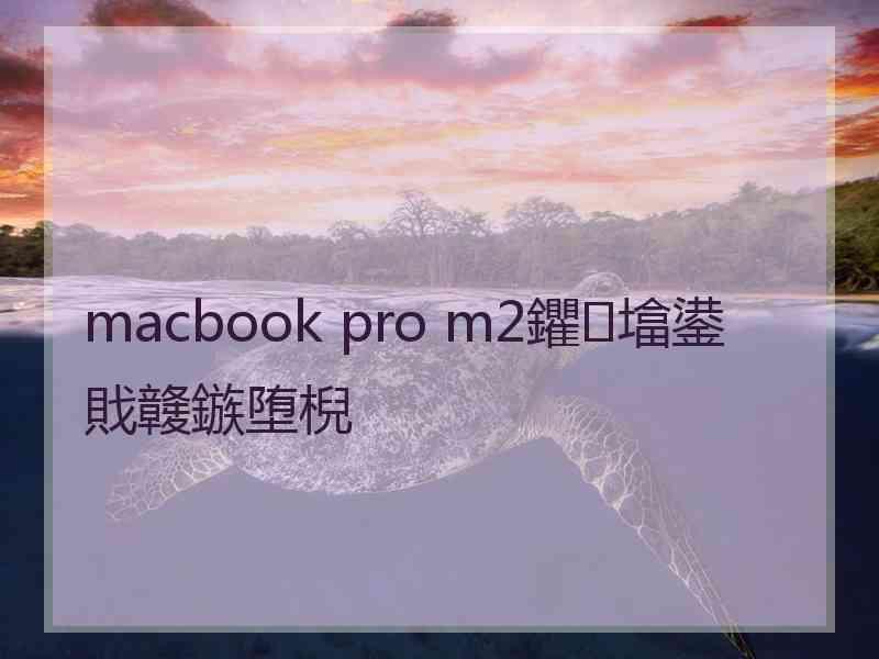 macbook pro m2鑺墖鍙戝竷鏃堕棿