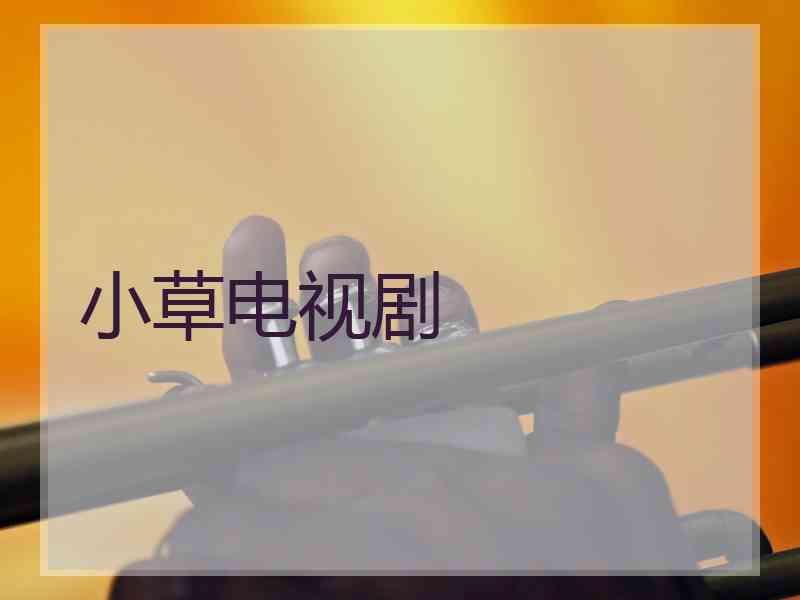 小草电视剧