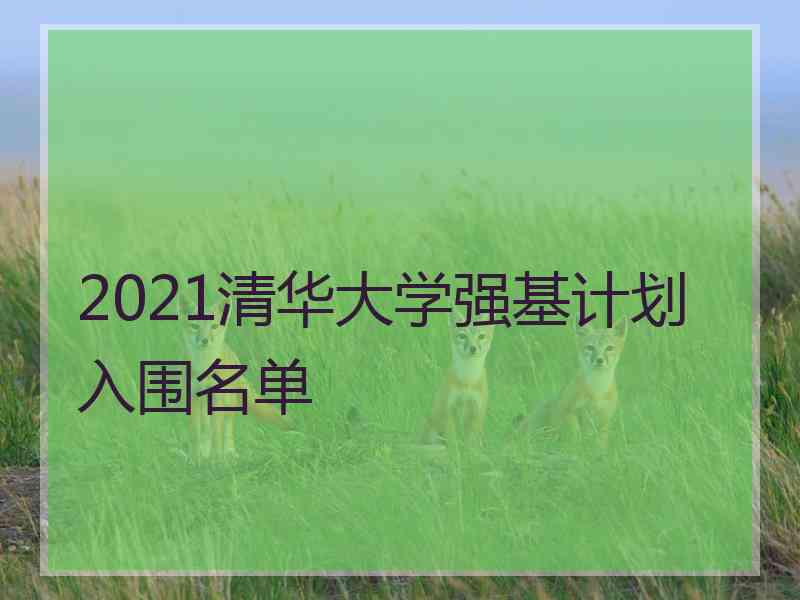 2021清华大学强基计划入围名单