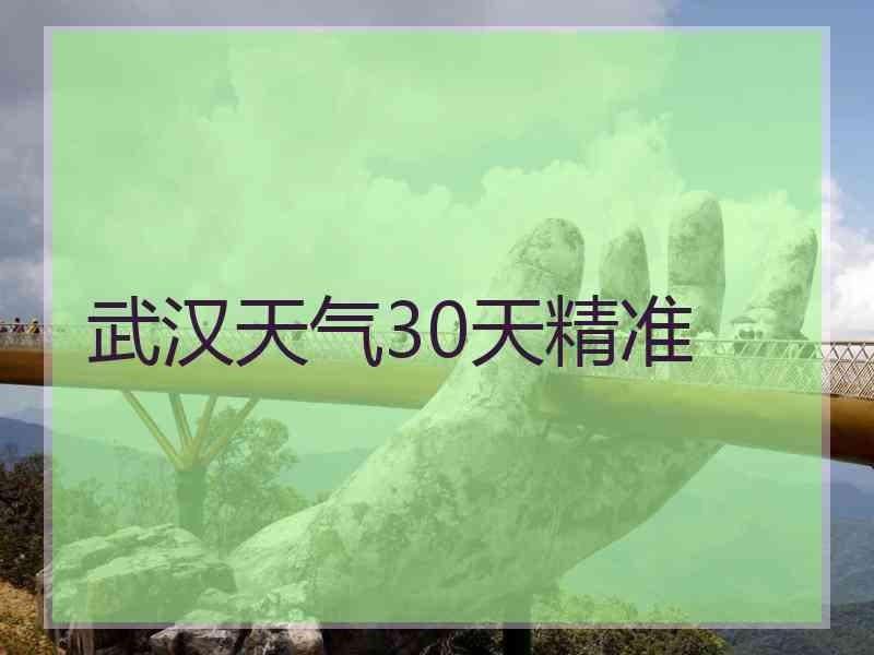 武汉天气30天精准
