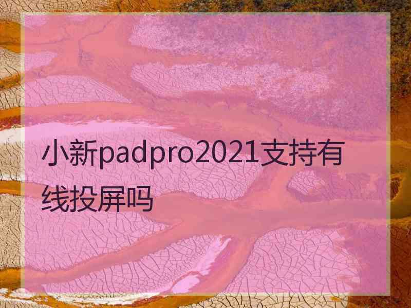 小新padpro2021支持有线投屏吗