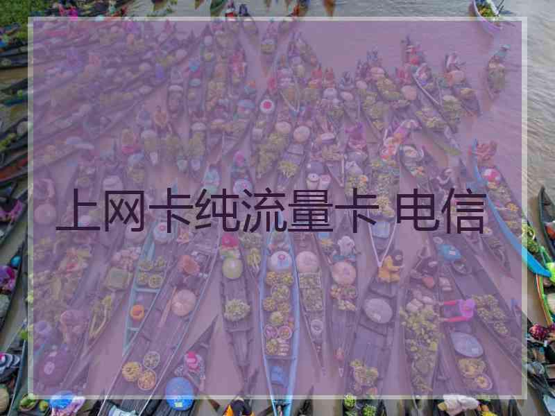 上网卡纯流量卡 电信